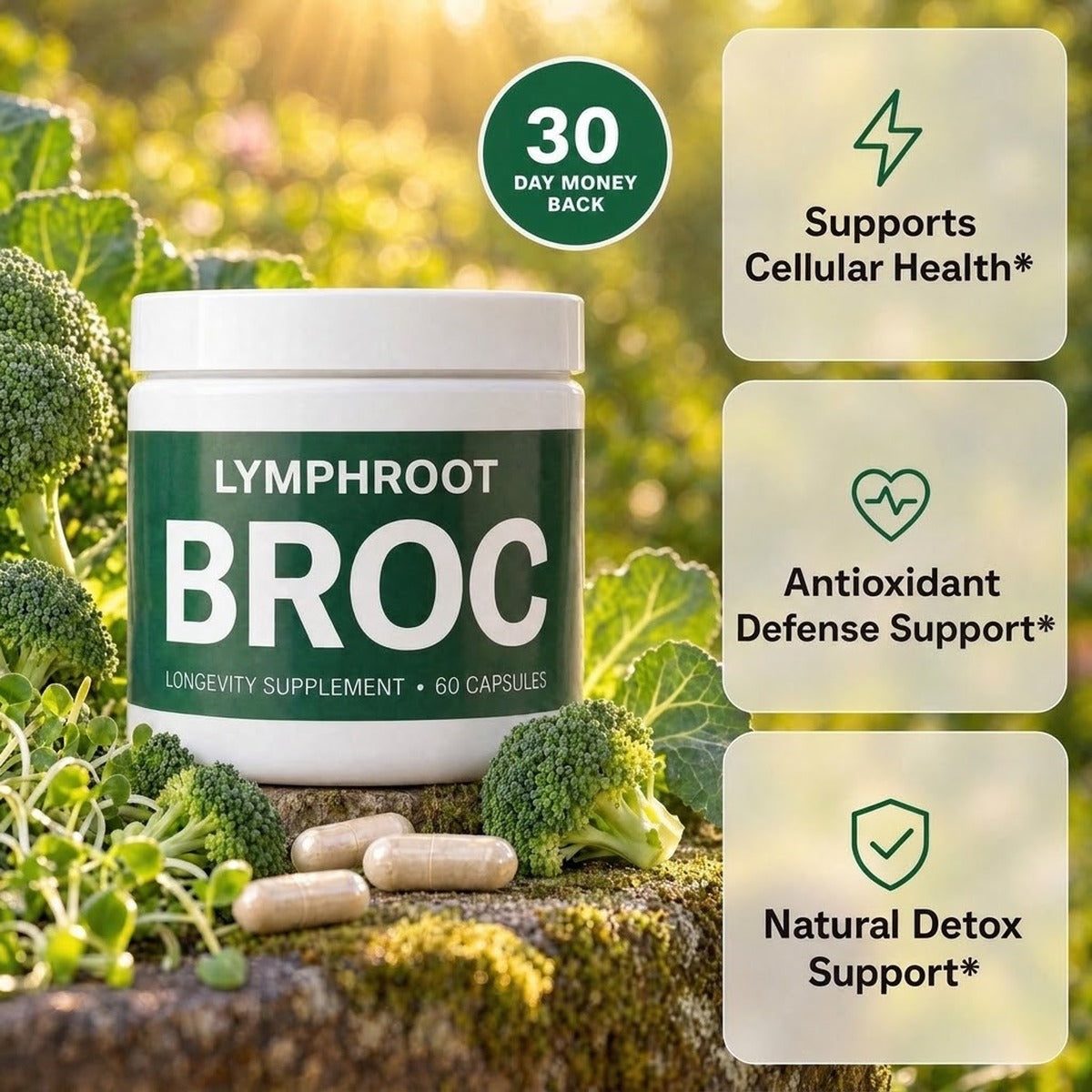 LymphRoot BROC jar in a sunlit garden with benefit cards