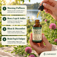 Lymphroot lymphatic drainage - signs your lymph needs support