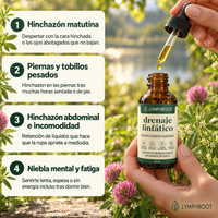 Lymphroot drenaje linfático - señales de que tu linfa necesita apoyo