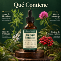 Drenaje Linfático LymphRoot — Gotas Naturales